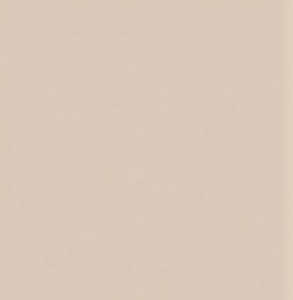 Płyta PU1503 SO Piasek Pustyni (U16003)