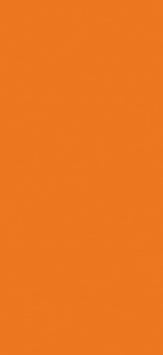 U16010_U1667_Orange_Rapport_72dpi_RGB_download.jpg