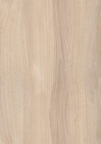 R37001_R5622_Wiąz_Baron_100dpi_RGB_download.jpg