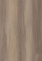 R37003_R5643_Wiąz_Baron_Trufel_100dpi_RGB_download.jpg