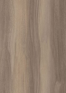 Płyta PD7062 LN Wiąz Trufel (R37003)
