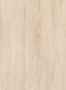 Płyta PD7000 LN Buk Norweski (R24029)