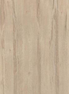 Płyta PD7010 LN Brzoza Ojców (R35013)