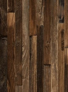 Blat PD7070 MT Klepka Egzotyczna (R50098)