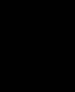 Płyta PU1001 SG Głęboka Czerń (U12007)