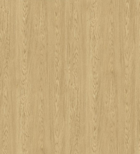 R20510_Dąb Baltic Dune.jpg