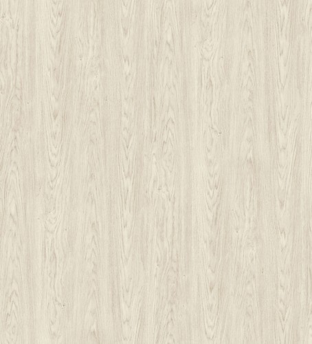 R20509_Dąb Baltic Ice.jpg