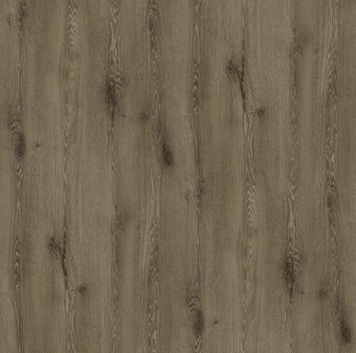 R20506_Dąb Lumberjack Smoke.jpg