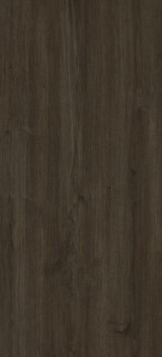 Carpenter-Coffee.jpg