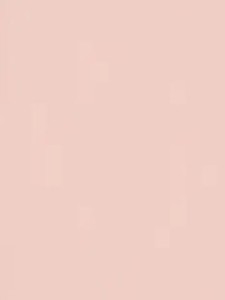 Płyta PU2604 SG Millennial Pink