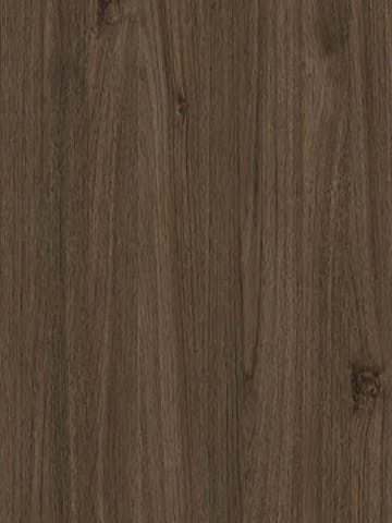 Teak Szlachecki.JPG