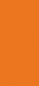 Obrzeże ABS 22/0,8 do płyty PU2400 MT Orange