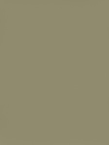 Płyta PU2207 SG Eukaliptus