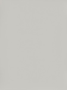 Płyta PU1206 SG Szary New York