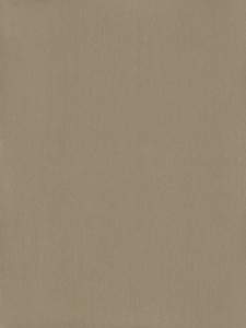 Płyta PF8030 SG Inox Beż