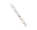 LD-2835-300-20-NE4P- 4.png